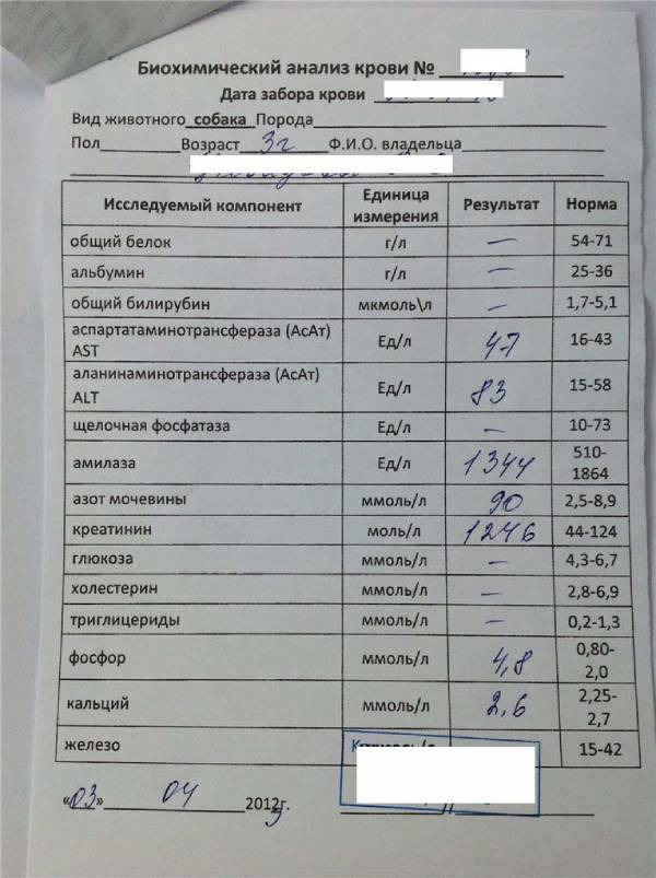 Купить биохимический анализ крови в Москве недорого